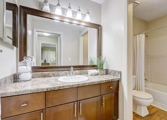 A bathroom with a sink, mirror, and a toilet.