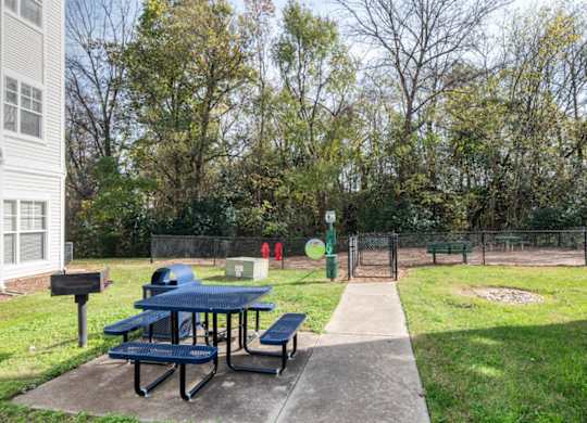 A picnic table with a blue top is surrounded by a concrete slab.
