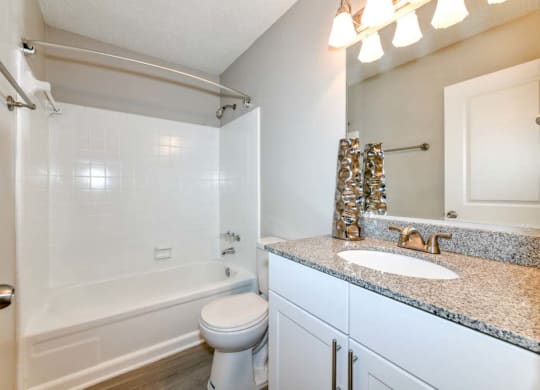 a bathroom with a sink toilet and bathtub
