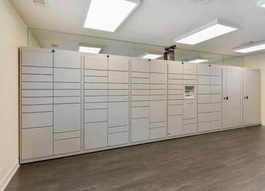 A room with a large white cabinet with drawers and a small plant on top.