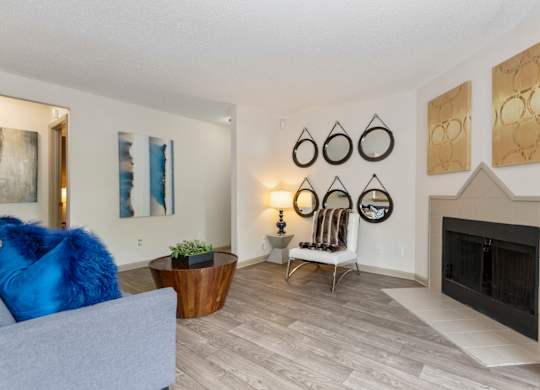 a living room with a fireplace and a couch at Canopy at Baybrook apartments in South Charlotte