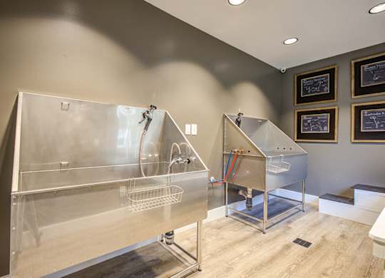 an indoor dog wash station with two stainless steel tubs and a sink at Canopy at Baybrook apartment community Charlotte NC