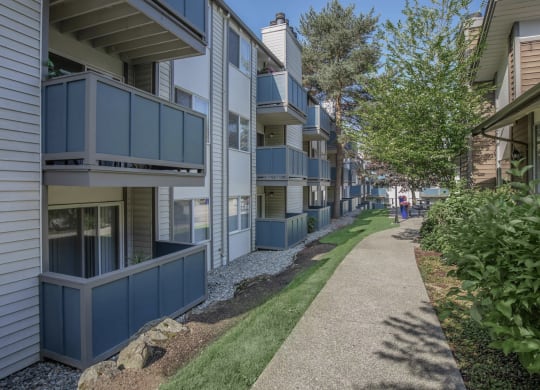 Apartments In Tukwila, WA For Rent - Foster Creek - Walkway In Between Apartments Surrounded By Lots Of Greenery