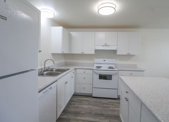 Range Stovetop