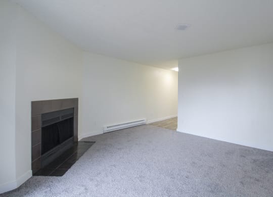 Fireplaces in Every Home