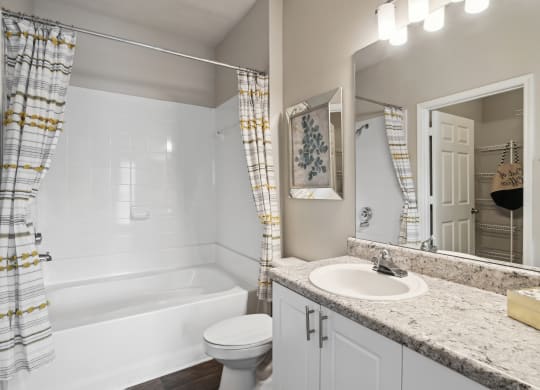 a bathroom with a sink and a toilet and a bath tub