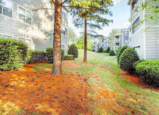 Grassy shaded park like area good for walking dogs at Seasons at Umstead apartments in Raleigh