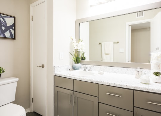 Eclipse Apartments Duluth GA renovated bathroom interior