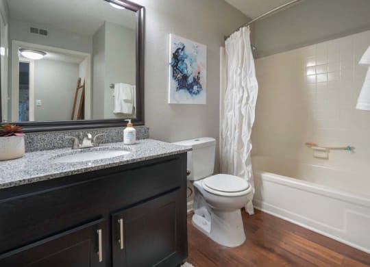 Veridian at Sandy Springs apartments interior bathroom with a sink toilet and bathtub