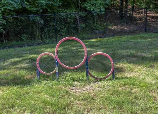 colorful hoops in the grass in a dog park at Wynnwood Vinings