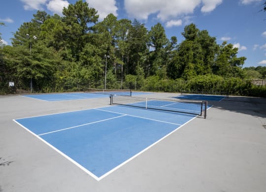 a tennis court on a blue court with trees in the background