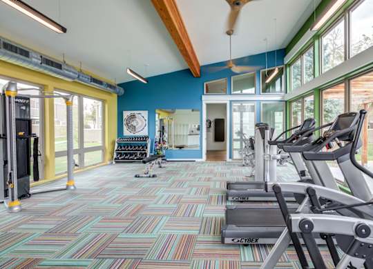 A gym with a variety of equipment including treadmills, weights, and a fan at The Ranch at Bear Creek Apartments, Colorado, 80227