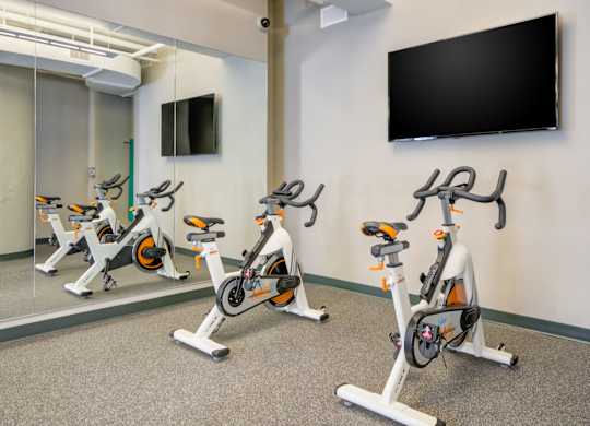 Three stationary bikes are lined up in a row in a room with a wall-mounted TV.