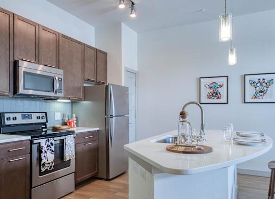 Kitchen with white counter at Agave, San Antonio, TX, 78205