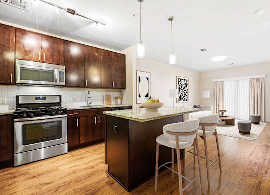A modern kitchen with dark wood cabinets and stainless steel appliances at Metro 303, Hempstead, NY, 11550