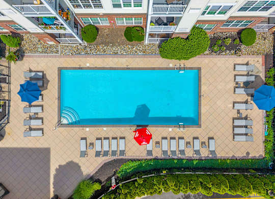 A large swimming pool surrounded by sun loungers and umbrellas.