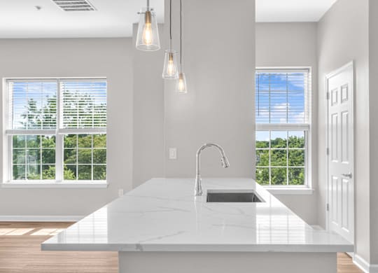A kitchen with a marble countertop and a window overlooking a tree-filled landscape.