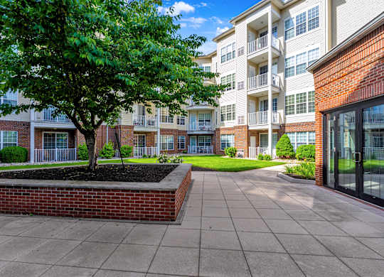 A tree in a planter is the only thing separating a courtyard from apartment buildings.