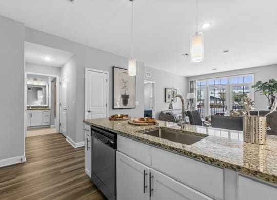 Kitchen Sink at Harbor Pointe, Bayonne