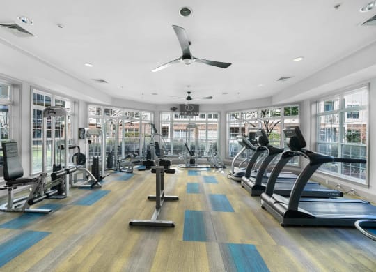 a large fitness center with treadmills and elliptical trainers  at The Lena, New Jersey, 08869