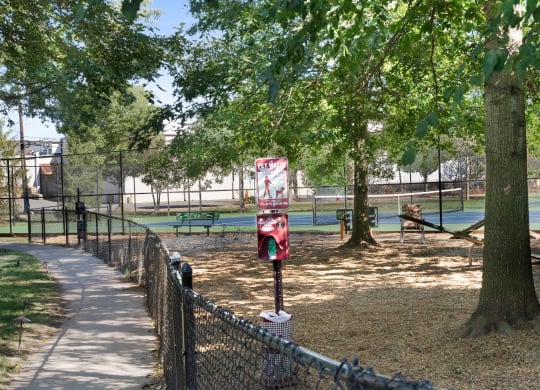 a private dog park with a tennis court in the background and trees in the foreground  at The Lena, Raritan, NJ, 08869