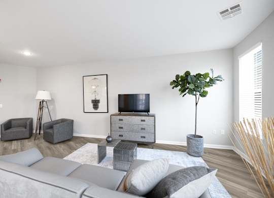 A living room with a grey couch, a television, and a potted plant.