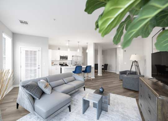 A living room with a grey sofa and a white rug.