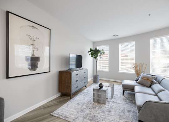 A living room with a grey sofa, a grey coffee table, a grey rug, a grey side table, a grey armchair, a grey cabinet, a grey TV stand, a grey plant, a grey wall, a grey floor,