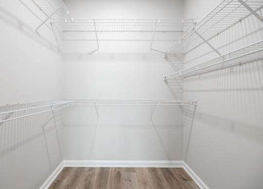 the walk in closet is empty and has white walls and shelves and a wood floor at The Lena, Raritan, NJ 08869
