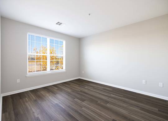 A room with a window showing trees outside.