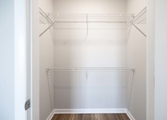 Empty white closet with shelves and a door.