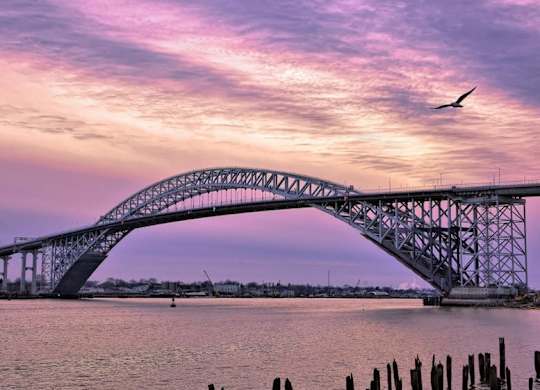 A bridge spans across a body of water with a bird flying in the sky.