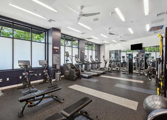 High Endurance Fitness Center at Metro 303, New York , 11550