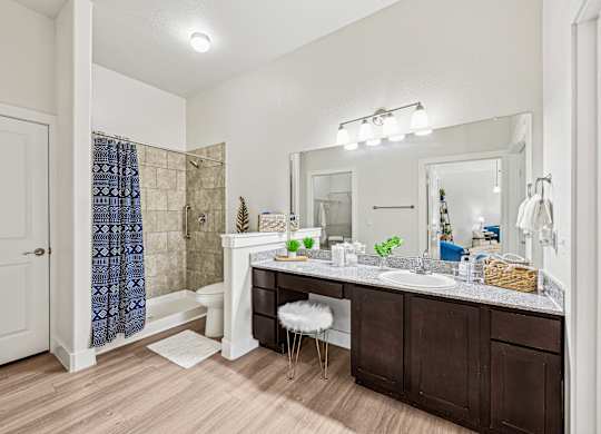 Lavish Bathroom Interior at The Laurel at Vintage Park 55+ Apartments, Texas