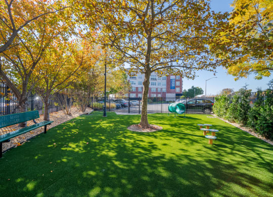Resident dog park at West 130, West Hempstead, 11552