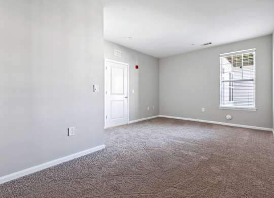 Plush Carpeting at West 130, New York 