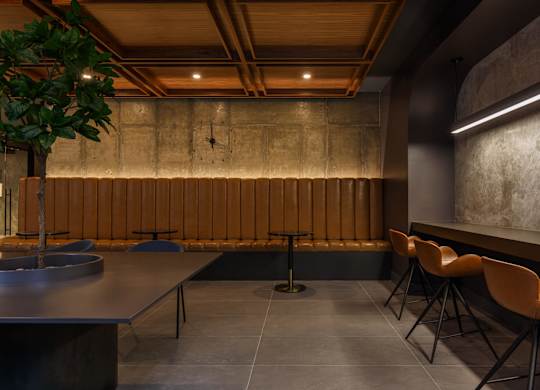 a dining room with tables and chairs and a plant