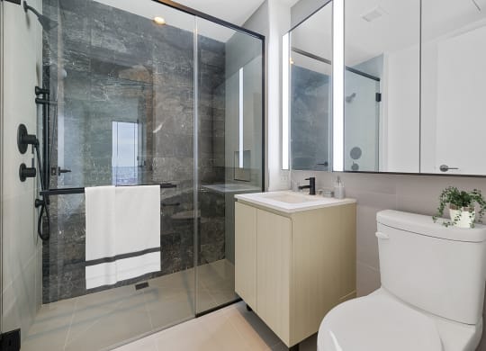a bathroom with a toilet and a sink and a shower at The Paxton, Brooklyn, NY