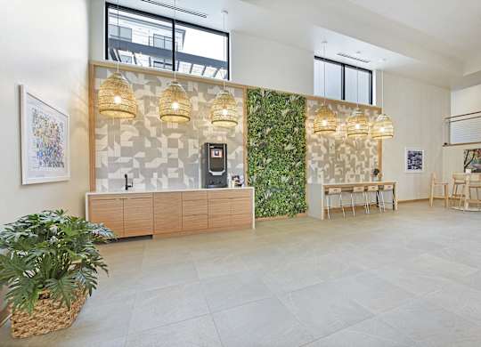 A room with a green plant on the wall and a wooden cabinet.