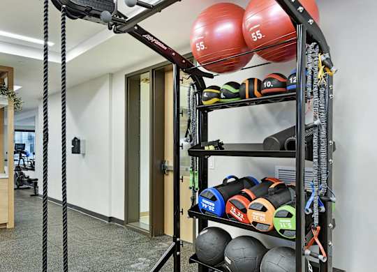 A gym with a weight rack and a row of exercise balls.