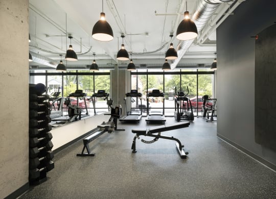 a gym with weights machines and a window