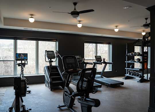 A home gym with treadmills, elliptical machines, and a fan.