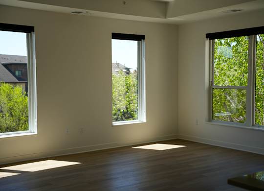 A room with three windows letting in sunlight.