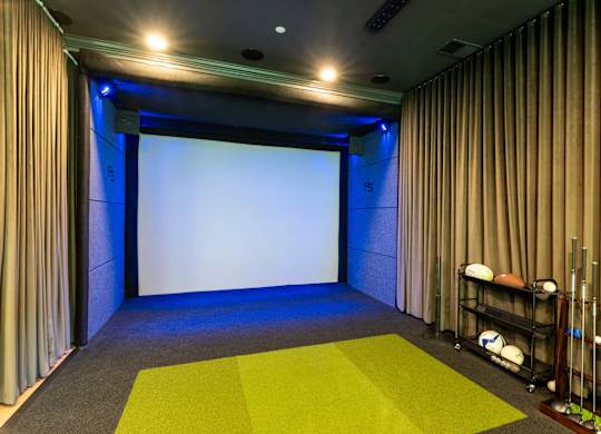 A room with a screen and a green carpet.