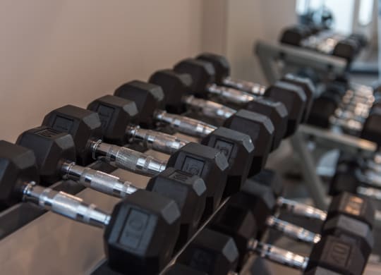 a row of dumbbells in a gym at The Whitworth, Williamsburg, Virginia