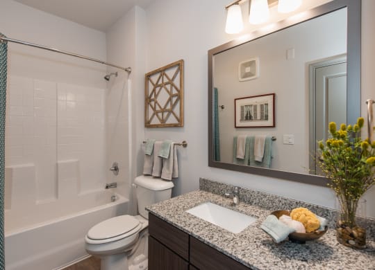 a bathroom with a large mirror and a toilet next to a bathtub at The Whitworth, Williamsburg, Virginia