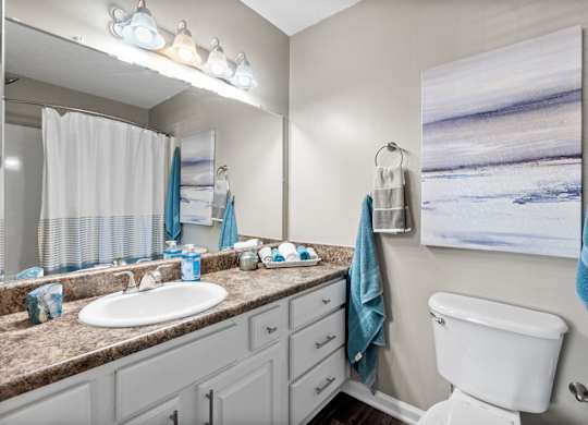 A bathroom with a white toilet, a sink, and a mirror.