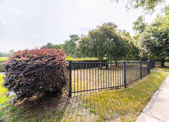 A black metal fence runs along a sidewalk.