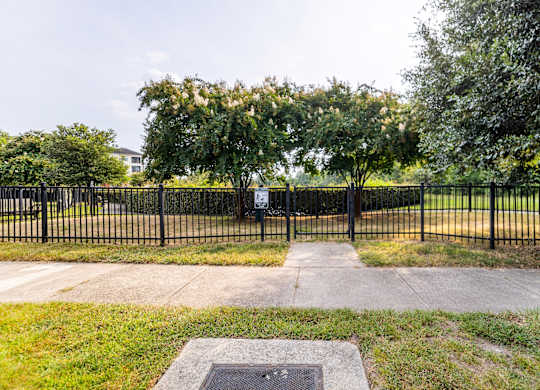 A black metal fence surrounds a tree-filled area.