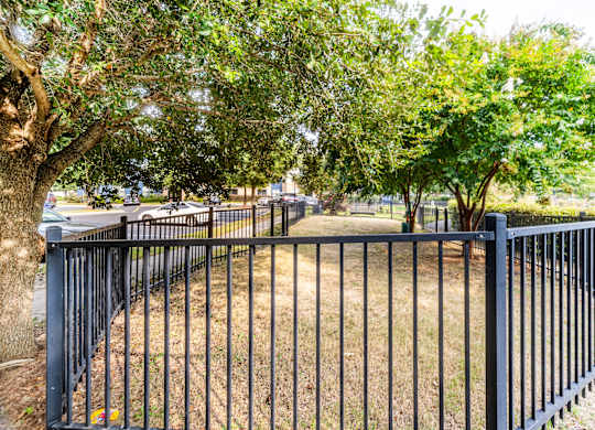 A black metal fence with a tree behind it.
